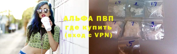 прущая мука Пересвет